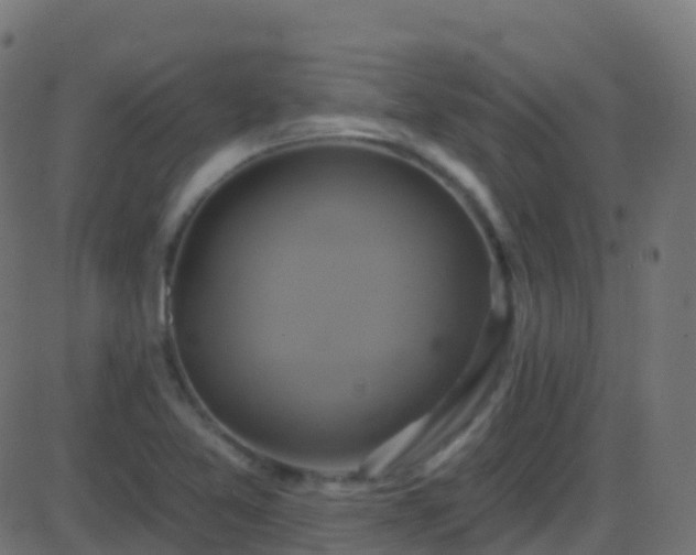 X0000086221365200704051229