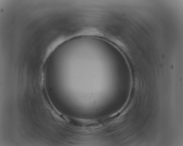 X0000086221366200704051229