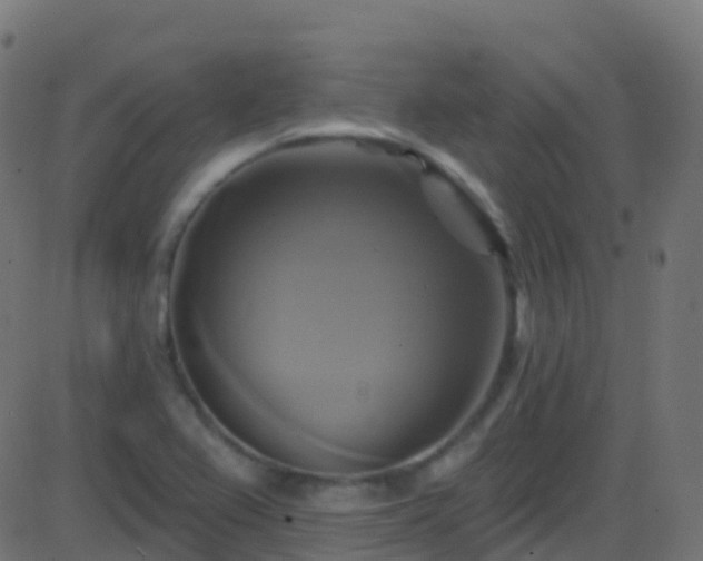 X0000086221367200704051229