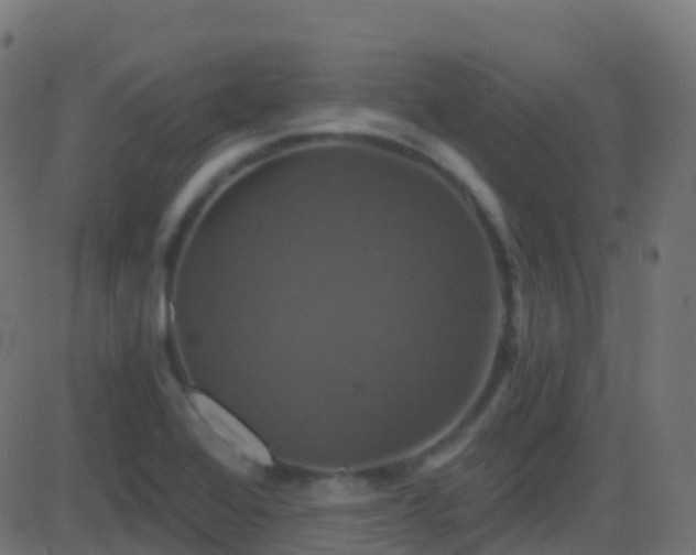 X0000086221368200704051229