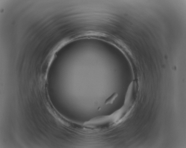 X0000086221369200704051229