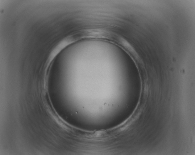 X0000086221370200704051229