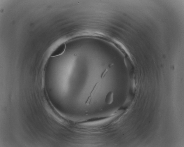 X0000086221371200704051229