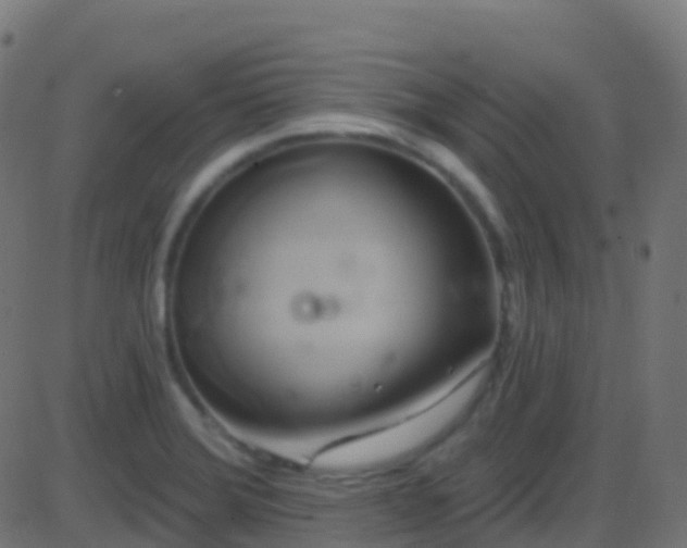 X0000086221372200704051229