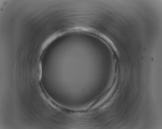 X0000086221373200704051229