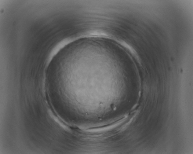 X0000086221374200704051229