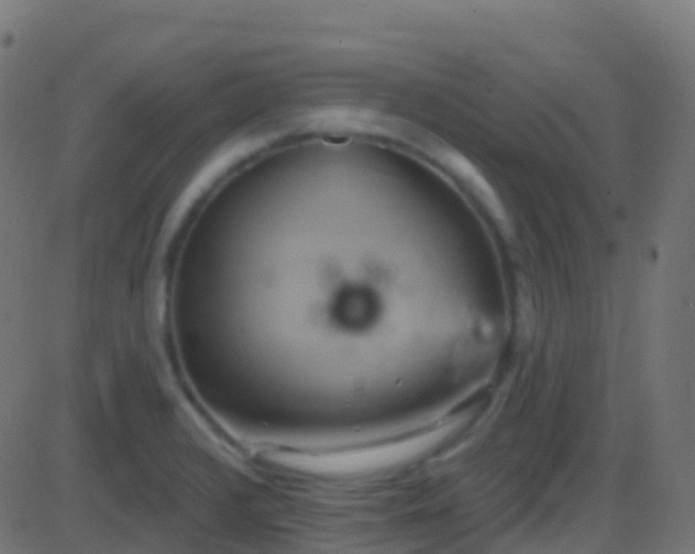 X0000086221376200704051229