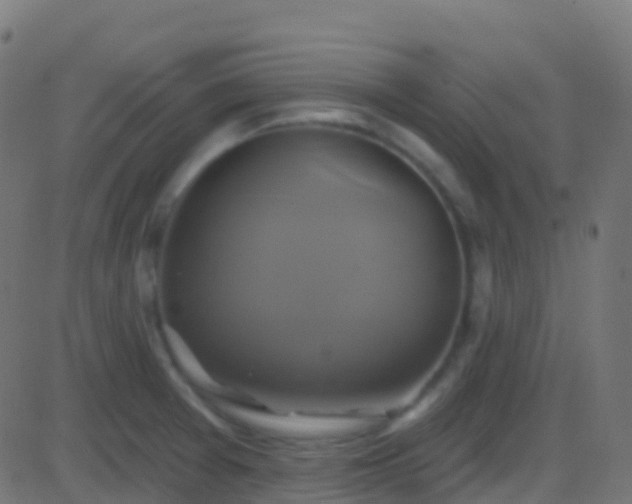 X0000086221377200704051229