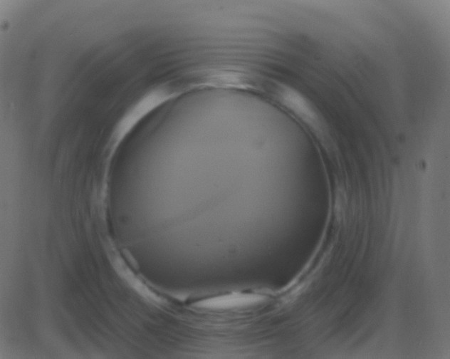 X0000086221378200704051229