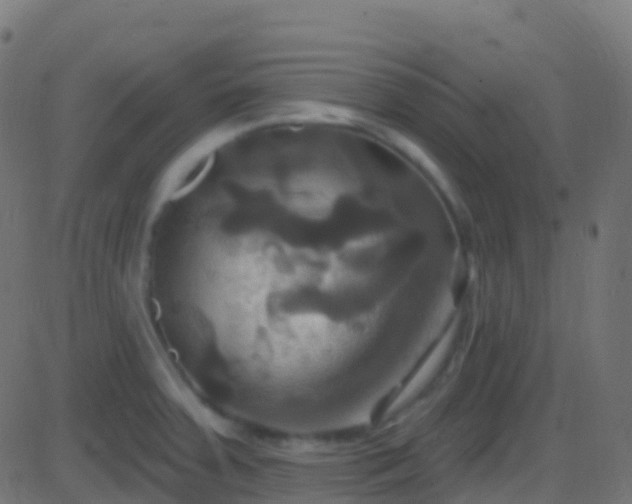 X0000086221379200704051229