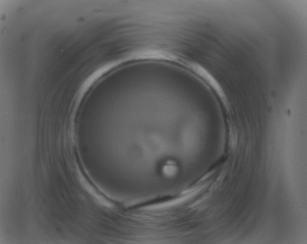 X0000086221380200704051229