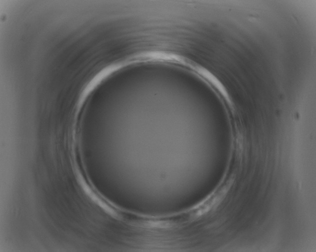 X0000086221381200704051229