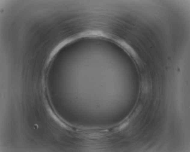 X0000086221382200704051229