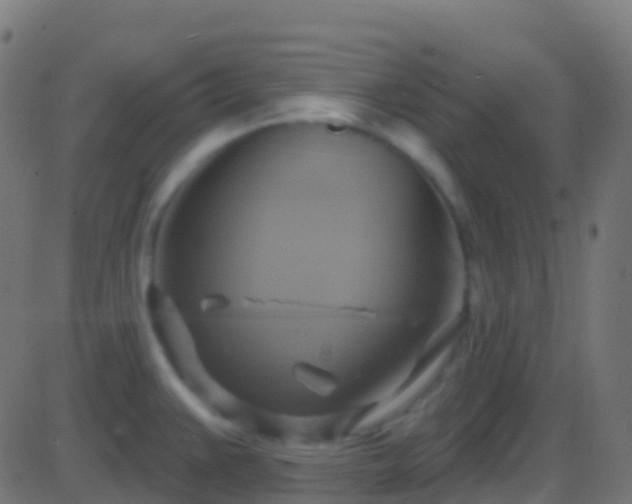 X0000086221383200704051229