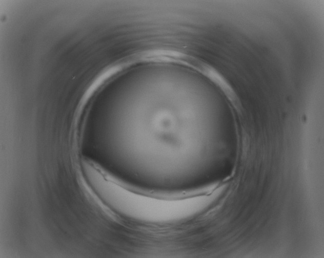 X0000086221384200704051229