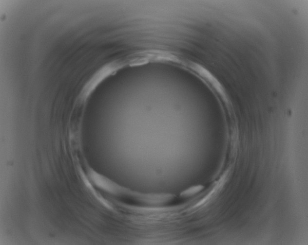 X0000086221385200704051229