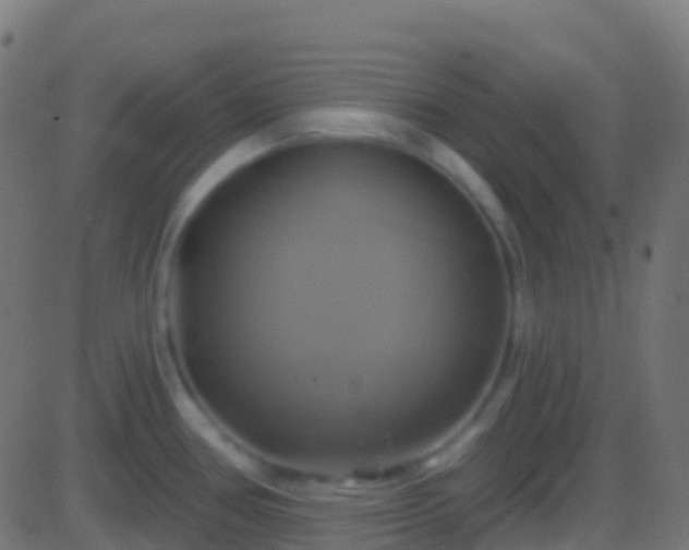 X0000086221386200704051229