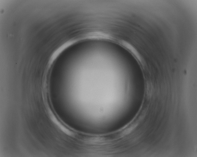 X0000086221387200704051229