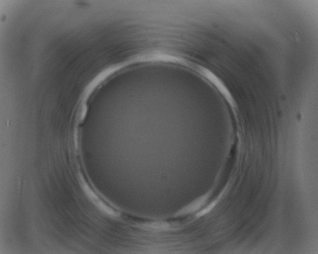 X0000086221388200704051229