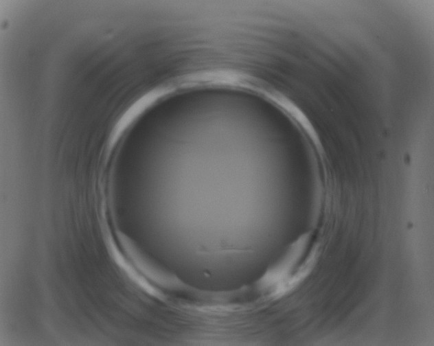 X0000086221389200704051229