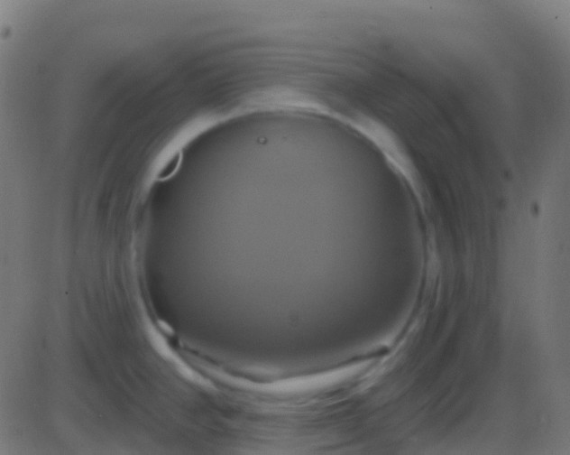 X0000086221390200704051229