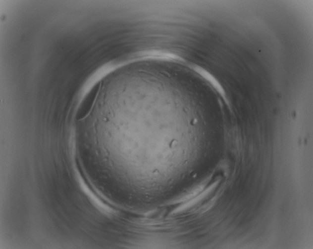 X0000086221391200704051229