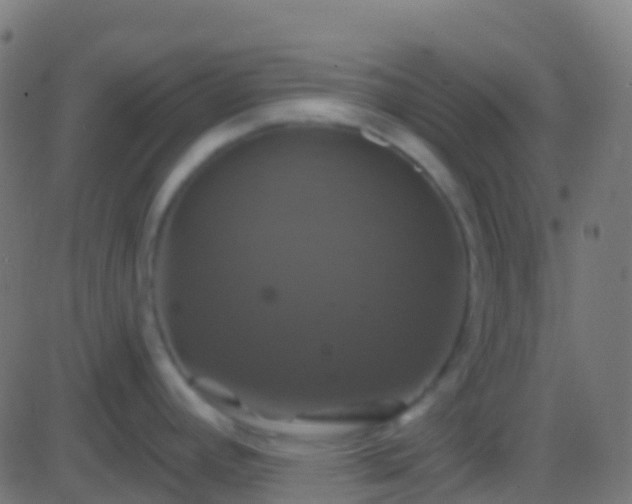 X0000086221392200704051229