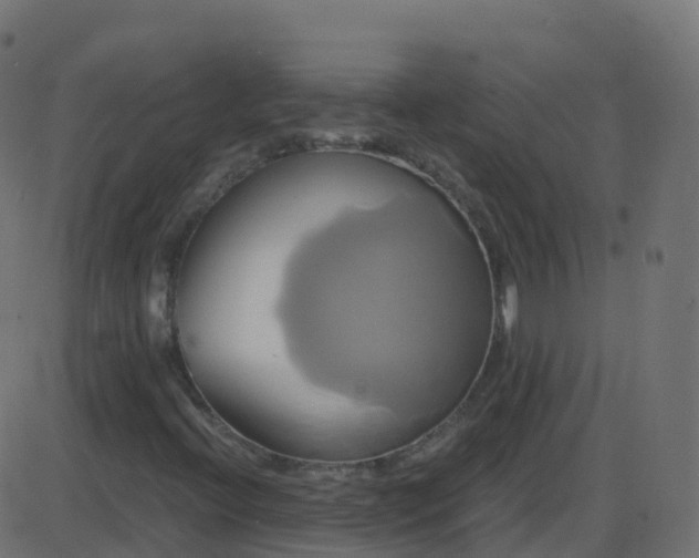 X0000086221396200704051228