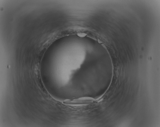 X0000086221397200704051228