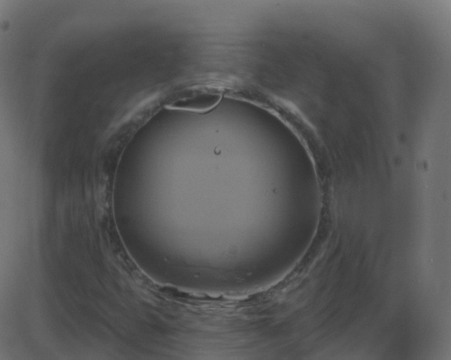 X0000086221399200704051228