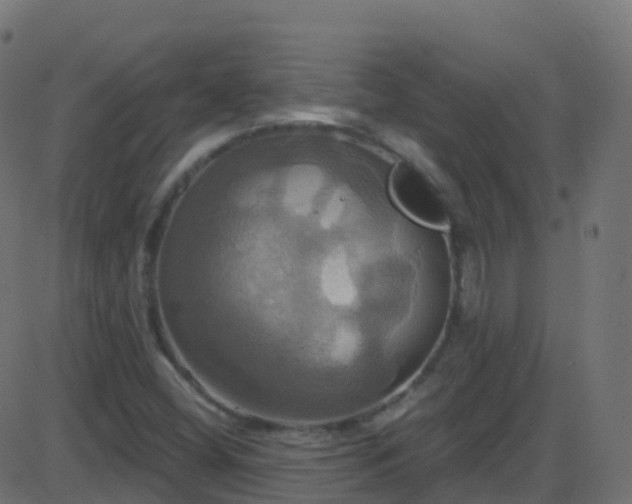 X0000086221404200704051228