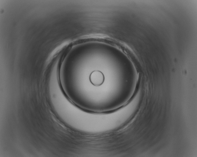 X0000086221406200704051228