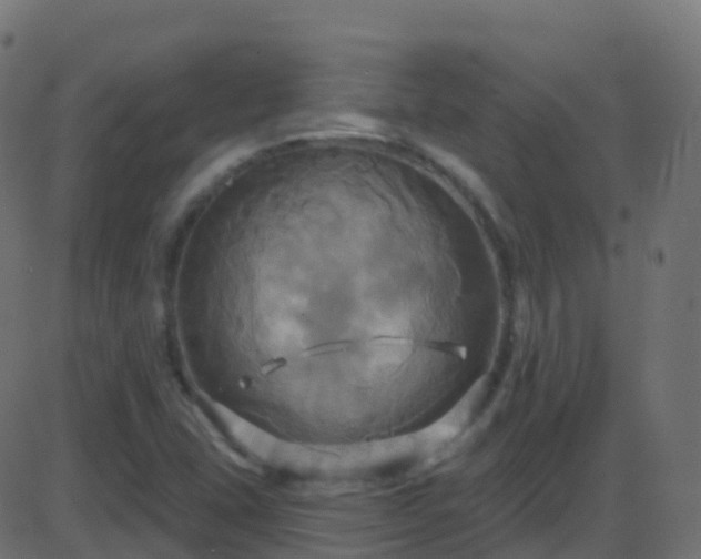 X0000086221407200704051228