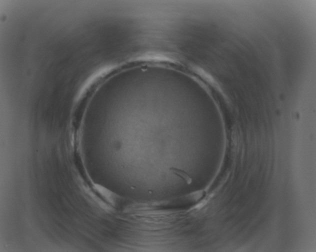 X0000086221408200704051228