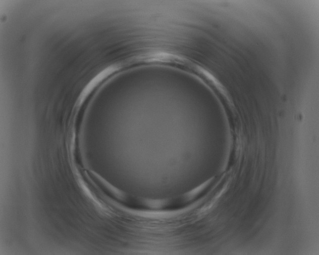 X0000086221418200704051228