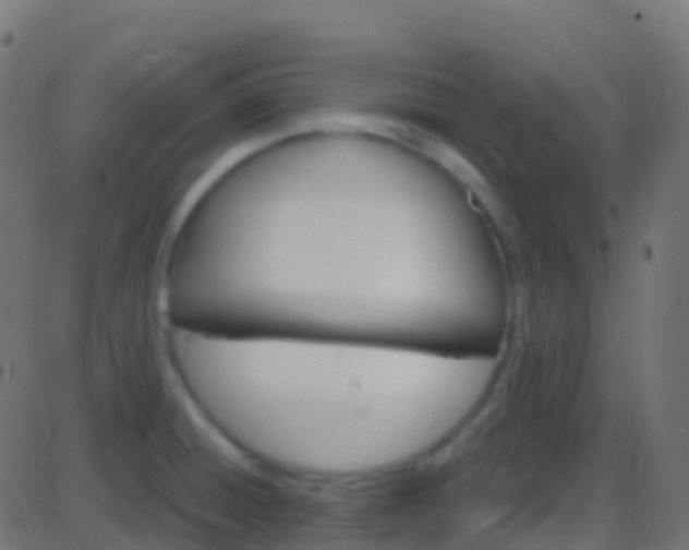 X0000086221428200704051228