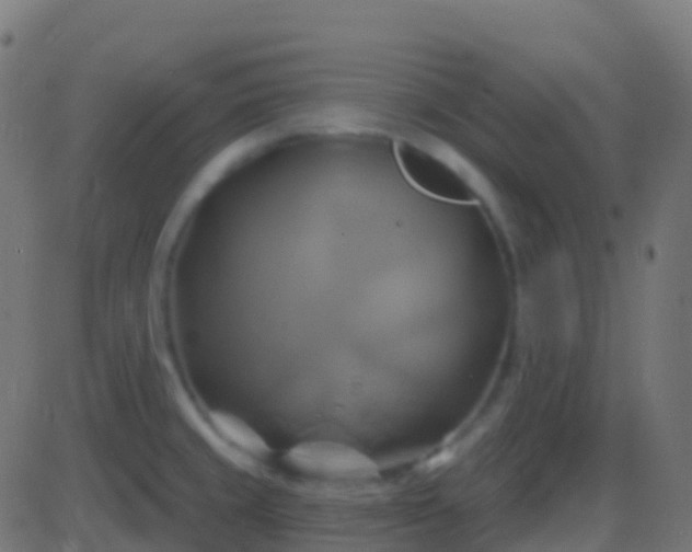 X0000086221429200704051229