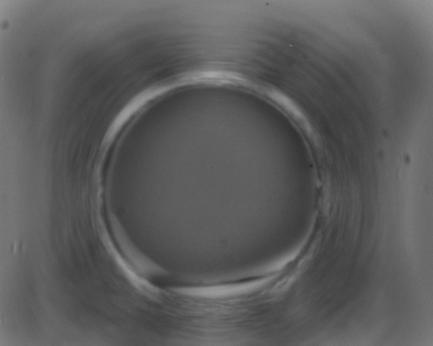 X0000086221430200704051229