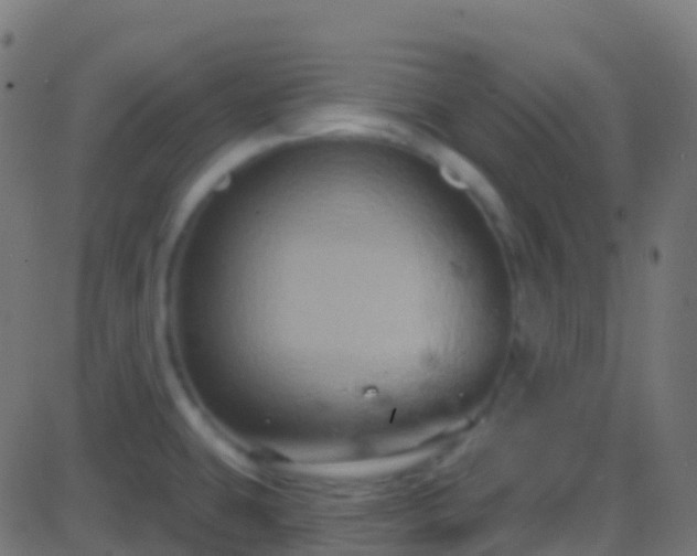 X0000086221431200704051229