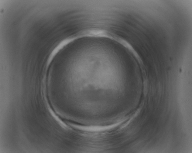 X0000086221432200704051229