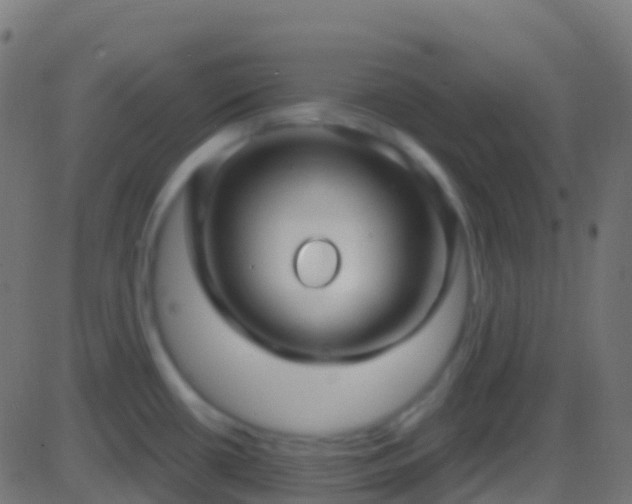 X0000086221434200704051229