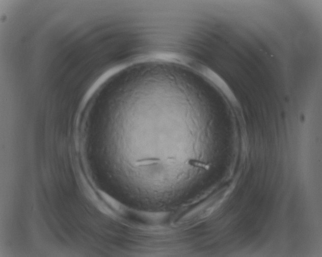 X0000086221436200704051229