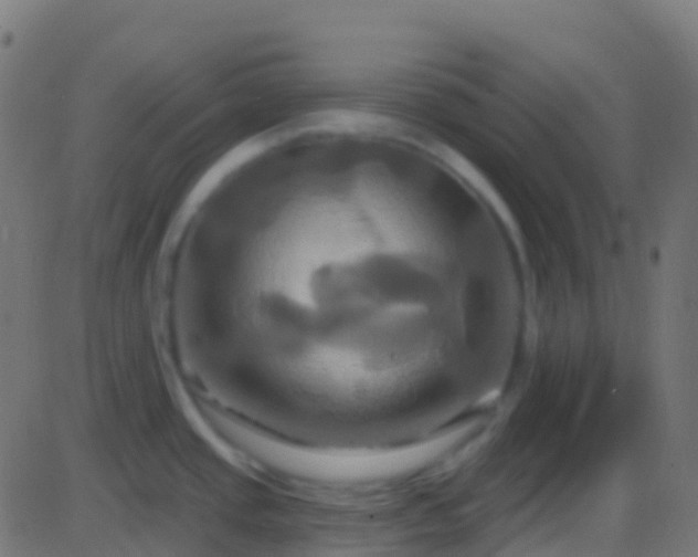 X0000086221437200704051229