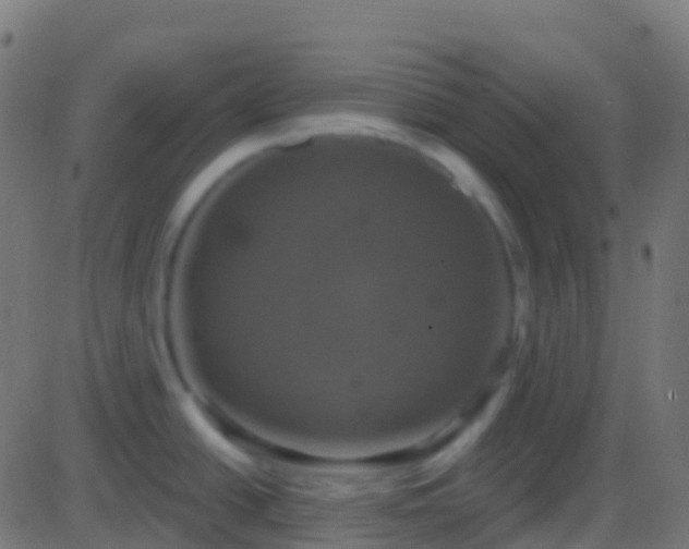 X0000086221438200704051229