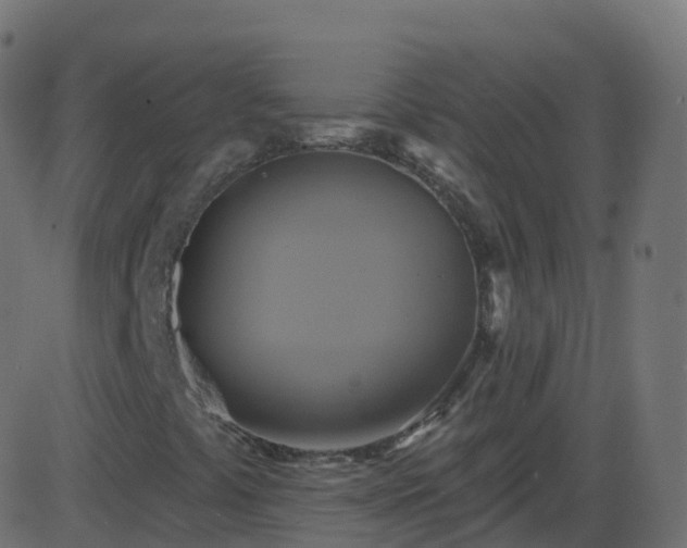 X0000086221441200704051228