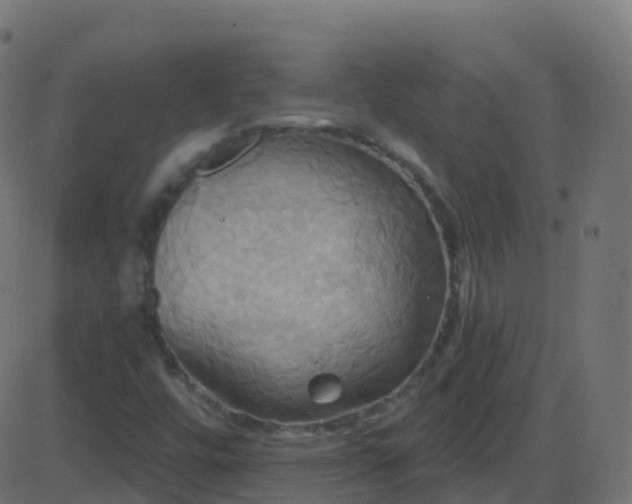 X0000086221448200704051228