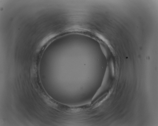 X0000086221453200704051228