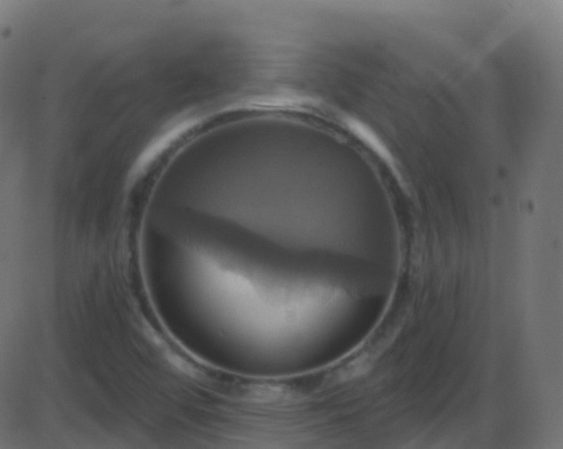 X0000086221456200704051228