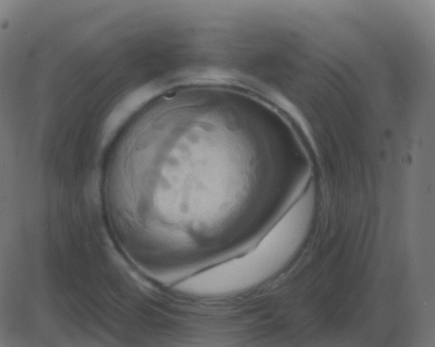 X0000086221464200704051227