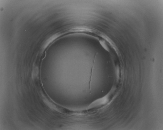 X0000086221465200704051227